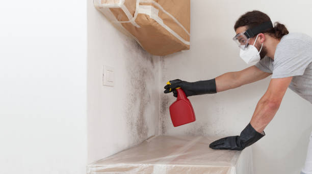 Professional Black Mold Remediation technician working in Pontiac, MI