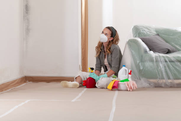 Reliable Black Mold Remediation contractor in Pontiac, MI by 24 Hour Mold Removal